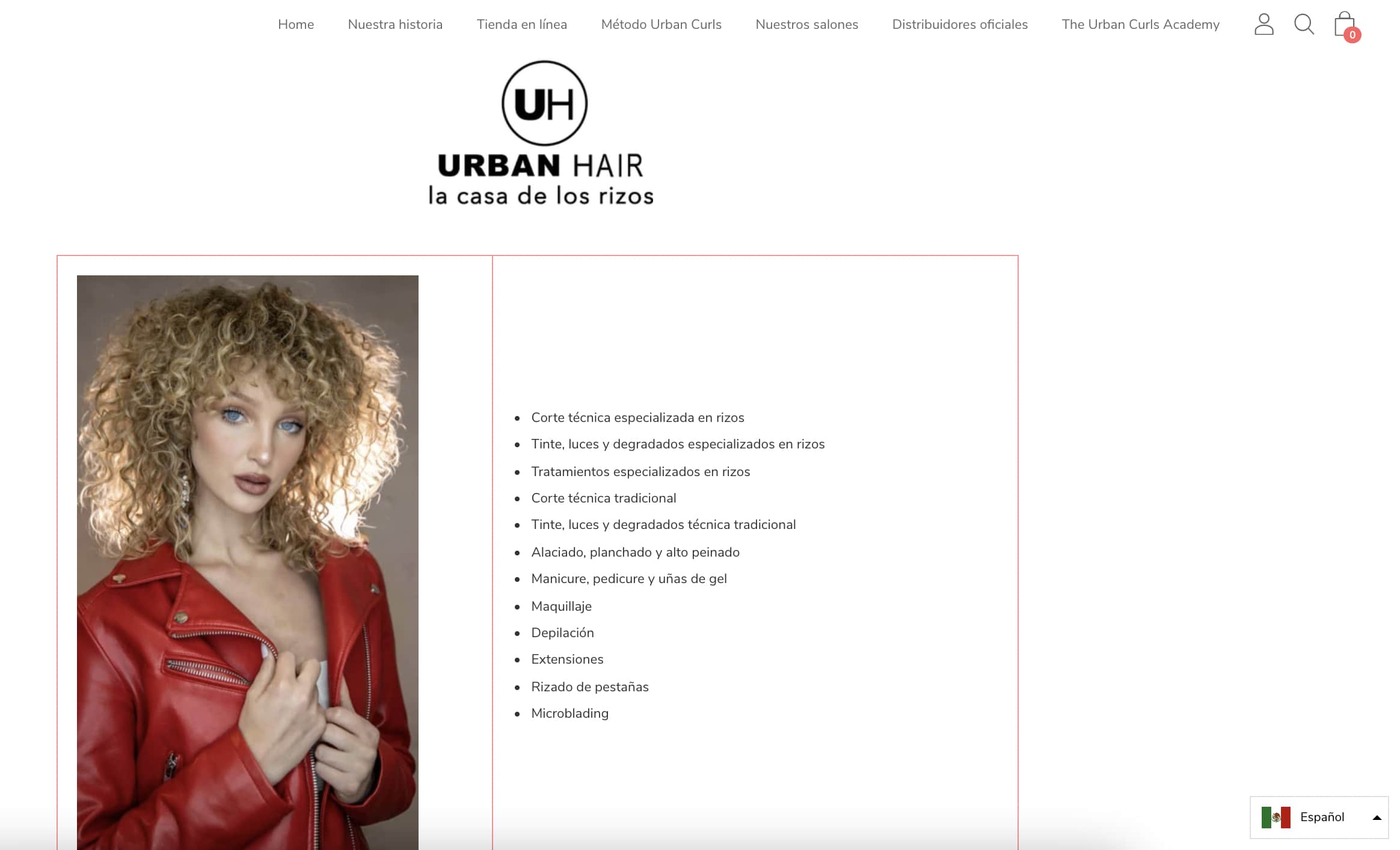 Ejemplos de nicho de mercado: Salón de belleza especializado en cabello rizado