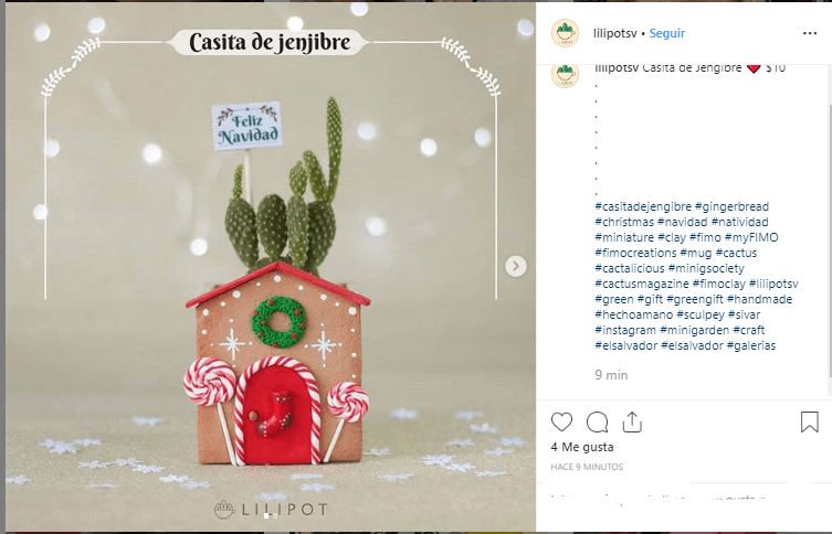 Hashtags para Instagram- Lilipot